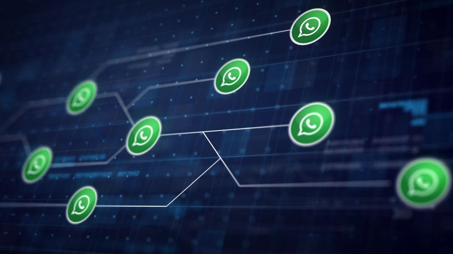 Welcome to the Future of WhatsApp Marketing with Waptoz